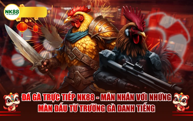 Đá Gà NK88 – Mãn Nhãn Với Màn Đấu Từ Trường Gà Danh Tiếng