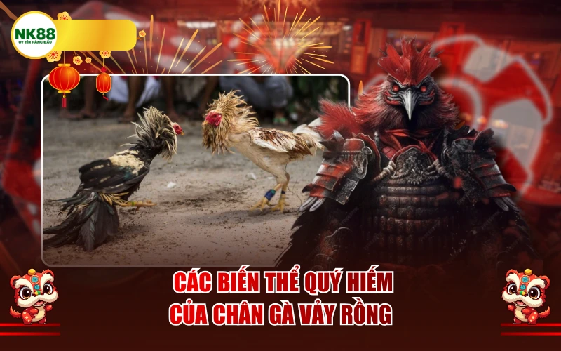 Các biến thể quý hiếm của chân gà vảy rồng