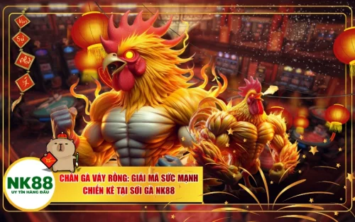 Chân Gà Vảy Rồng: Giải Mã Sức Mạnh Chiến Kê Tại Sới Gà NK88