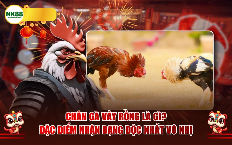 Chân gà vảy rồng là gì? Đặc điểm nhận dạng độc nhất vô nhị