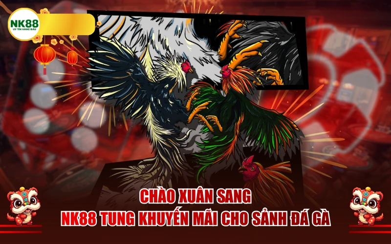 Chào xuân sang – NK88 tung khuyến mãi cho sảnh đá gà