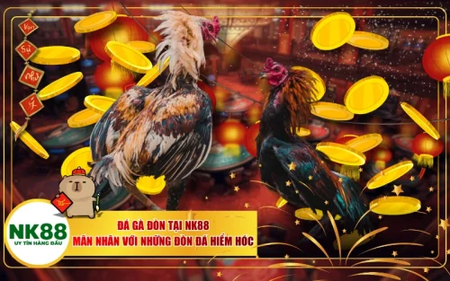 Đá Gà Đòn Tại NK88 - Mãn Nhãn Với Những Đòn Đá Hiểm Hóc