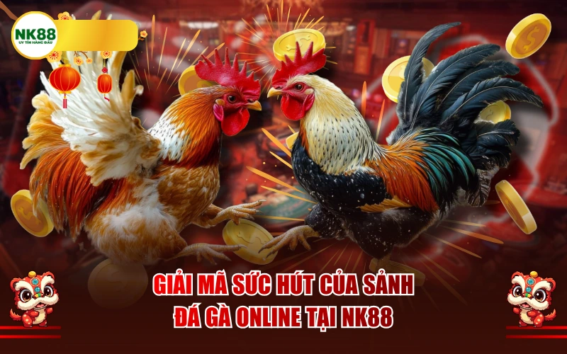 Giải mã sức hút của sảnh đá gà online tại NK88