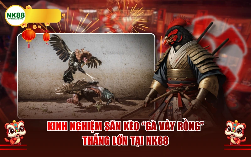 Kinh nghiệm săn kèo "Gà Vảy Rồng" thắng lớn tại NK88