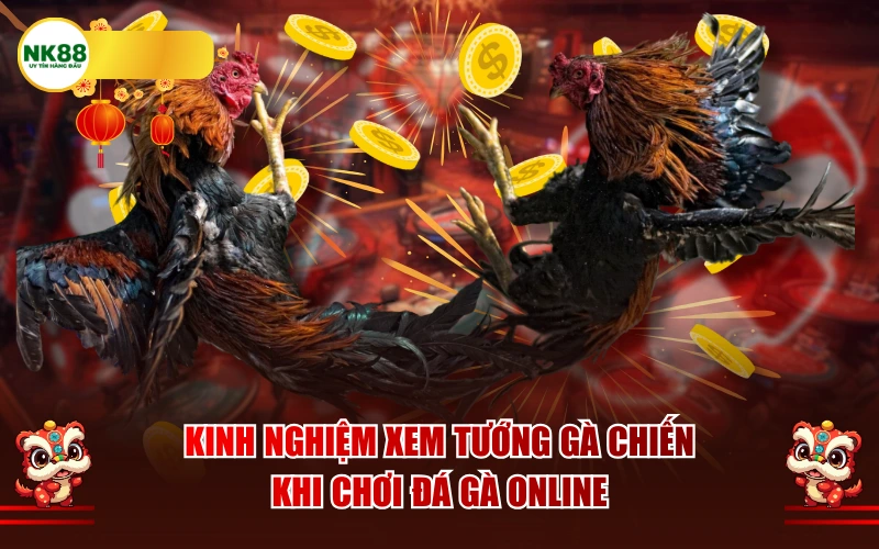 Kinh nghiệm xem tướng gà chiến khi chơi đá gà online