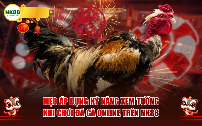 Mẹo áp dụng kỹ năng xem tướng khi chơi đá gà online trên NK88