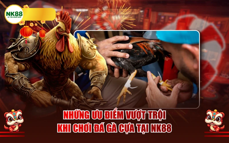 Những ưu điểm vượt trội khi chơi đá gà cựa tại NK88