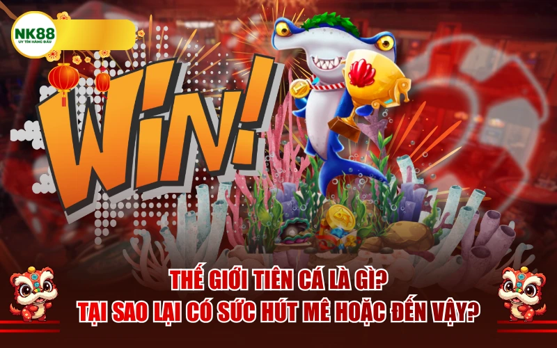 Thế giới tiên cá là gì? Tại sao lại có sức hút mê hoặc đến vậy?