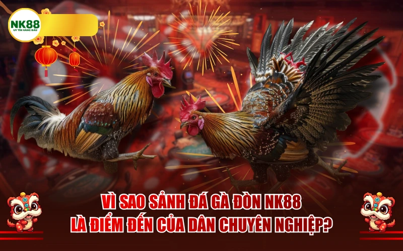 Vì sao sảnh đá gà đòn NK88 là điểm đến của dân chuyên nghiệp?