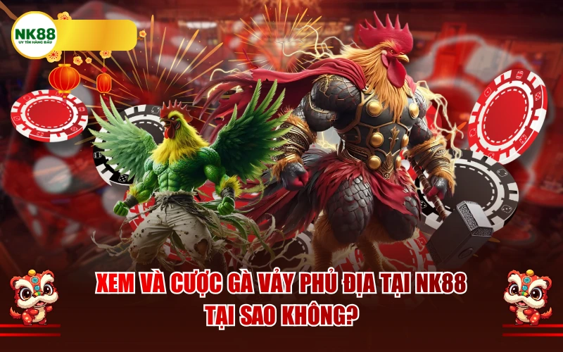 Xem và cược gà vảy phủ địa tại NK88 – Tại sao không?